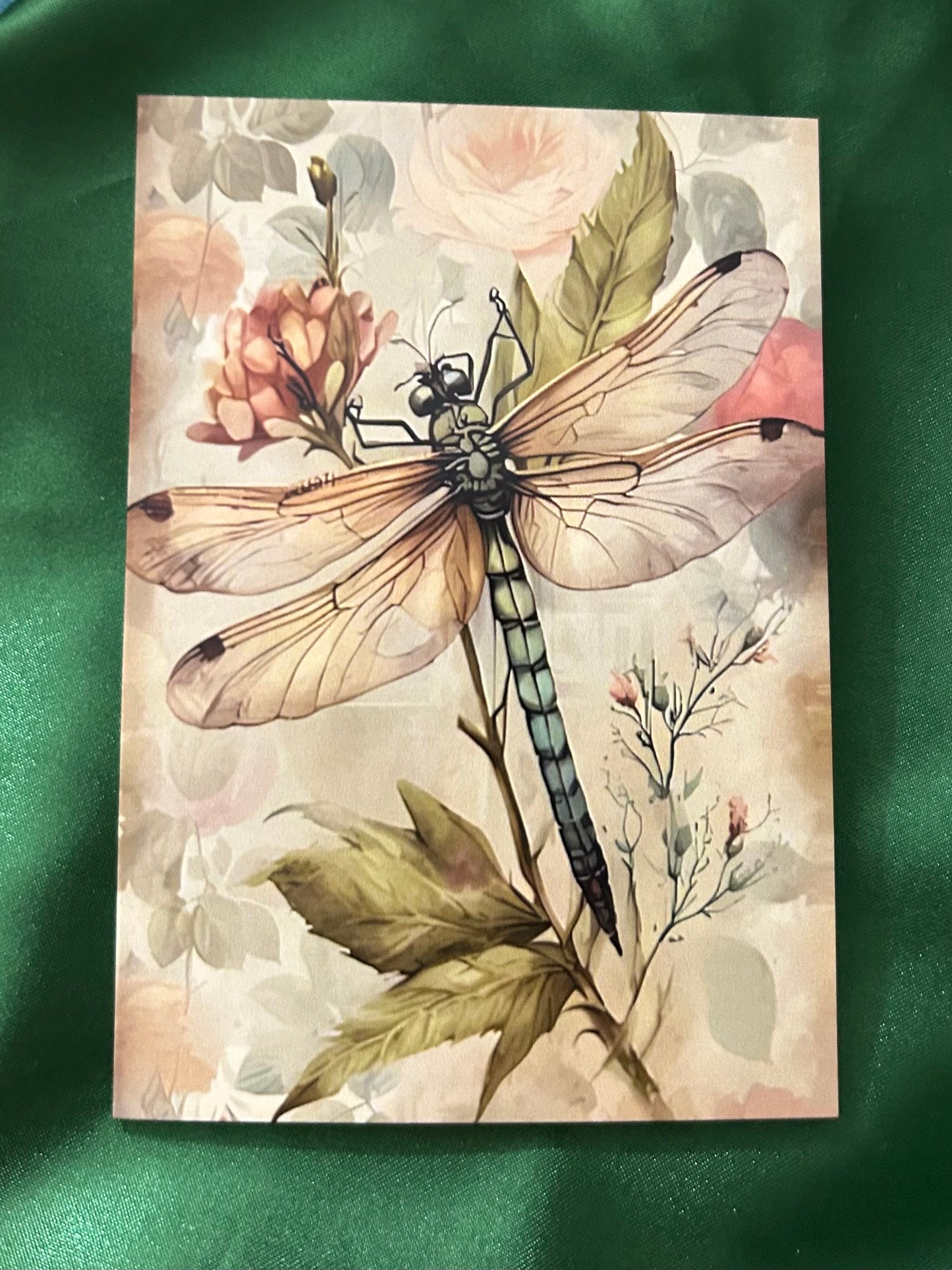 Pretty Dragonfly Greeting Cards (perfect for any occasion)