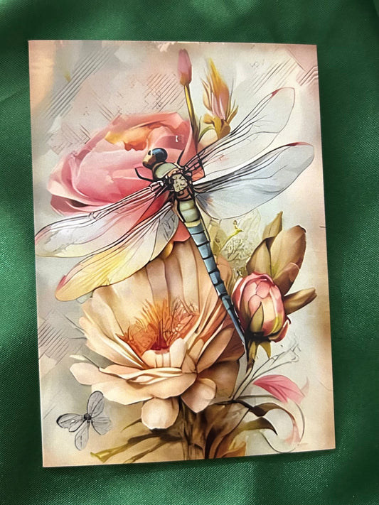 Dragonfly Greeting Card