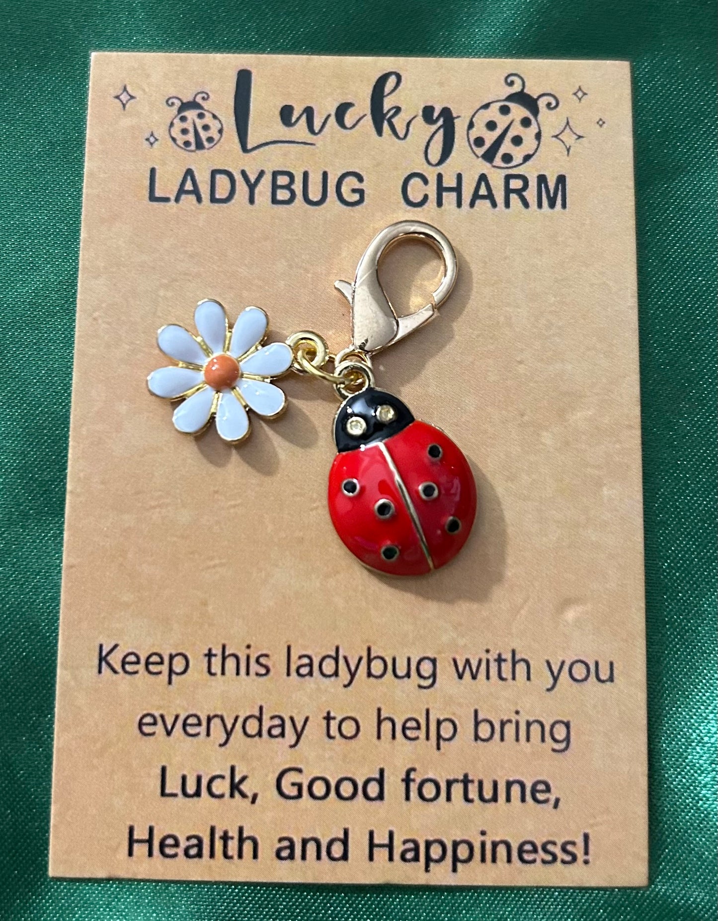 Ladybug Charm